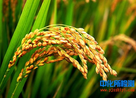 富硒产品去也标准(富硒产品国家标准)-硒宝网