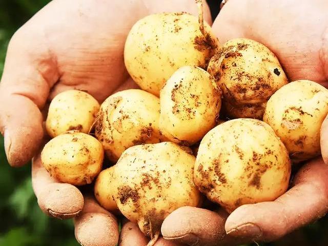 富硒地理标志产品(地理标志富硒产品图片)-硒宝网