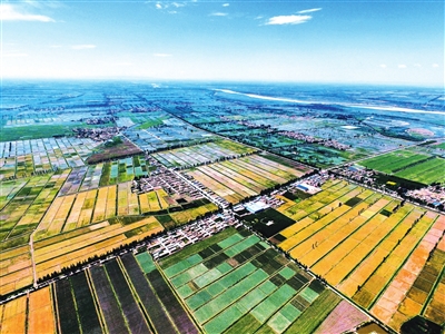 某地绿色富硒产品（某地绿色富硒产品的特点）-硒宝网