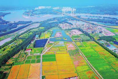 某地绿色富硒产品（某地绿色富硒产品的特点）-硒宝网