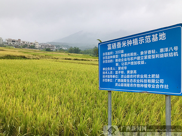 富硒产品经营理念（打造富硒品牌）-硒宝网