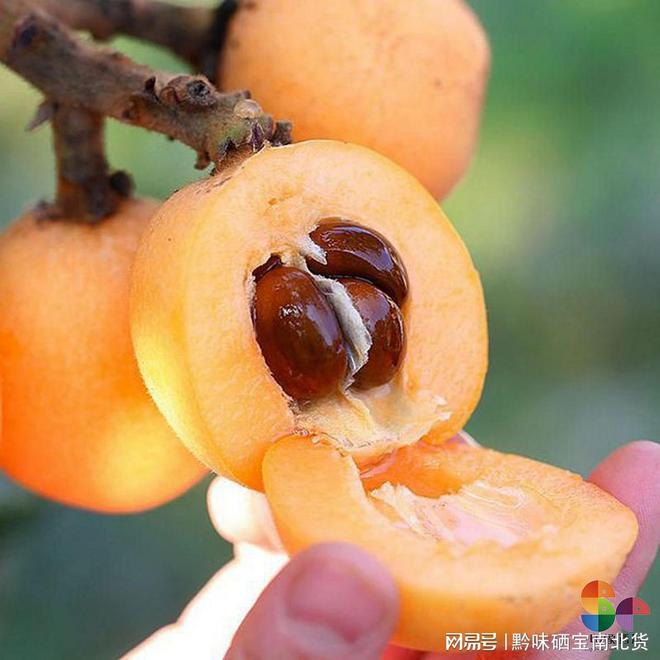 开阳什么产品富硒(开阳富硒食品介绍)-硒宝网