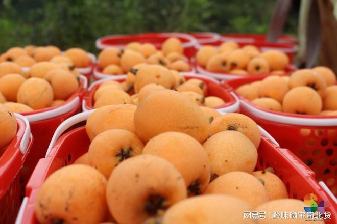 开阳什么产品富硒(开阳富硒食品介绍)-硒宝网