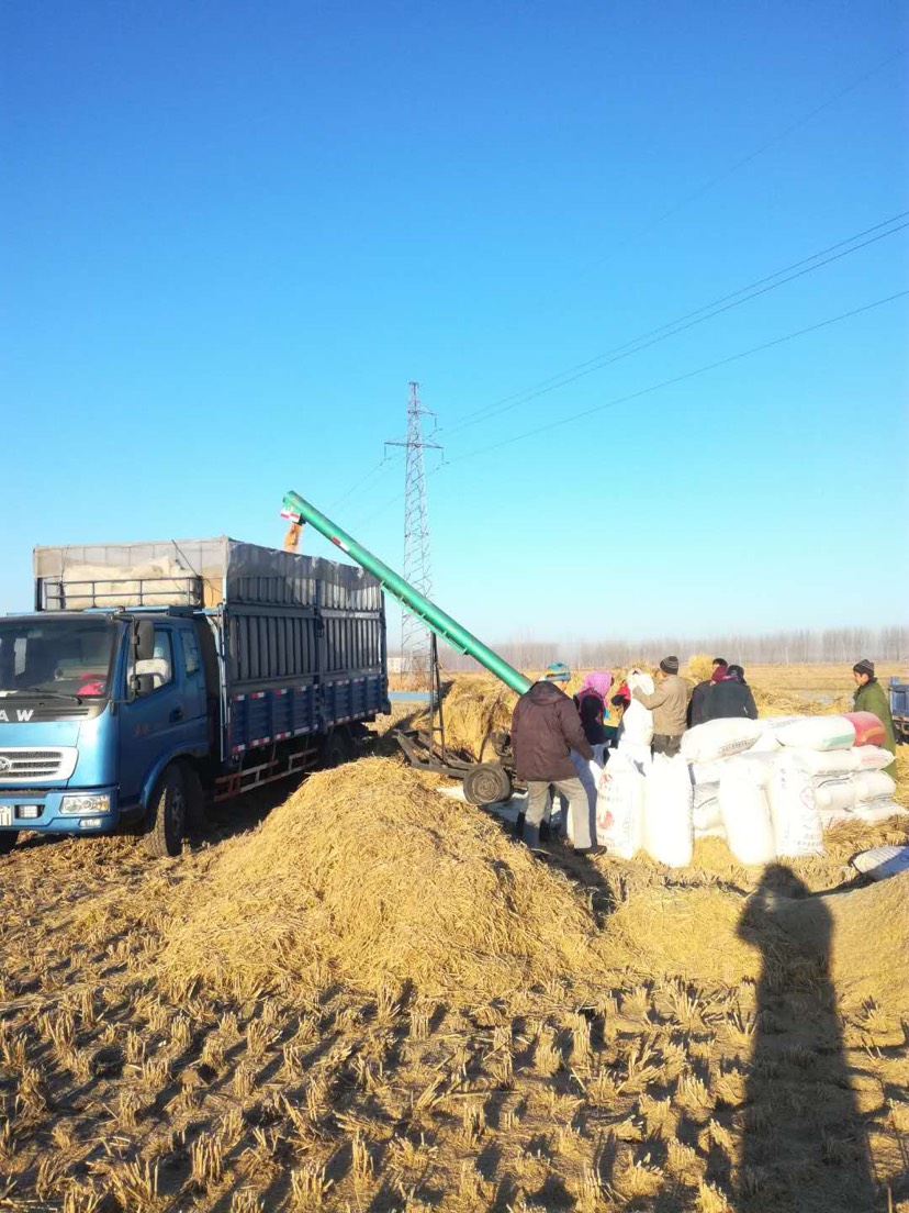 怎么种植富硒产品（富硒种植技术）-硒宝网