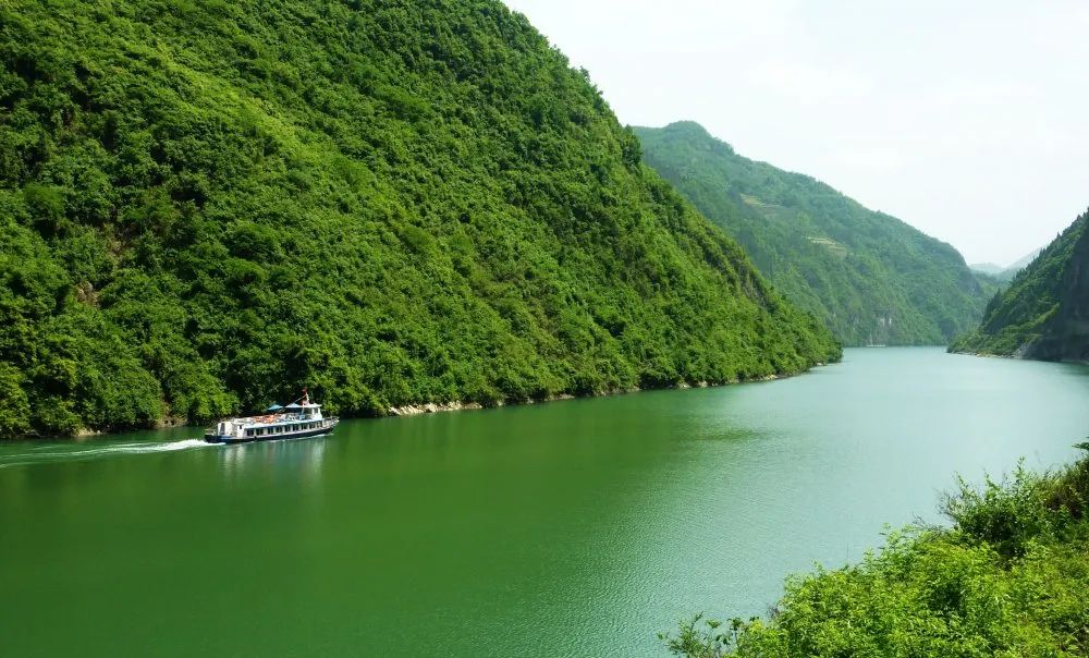 富硒产品项目运营(运营富硒项目产品经理招聘)-硒宝网