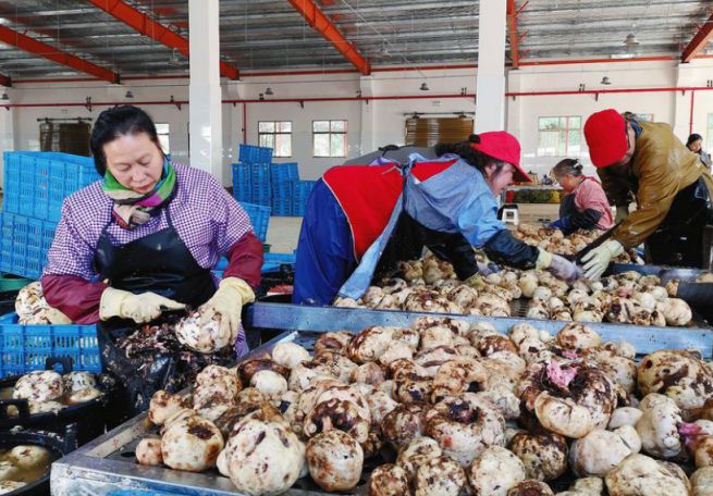 富硒产品项目运营(运营富硒项目产品经理招聘)-硒宝网