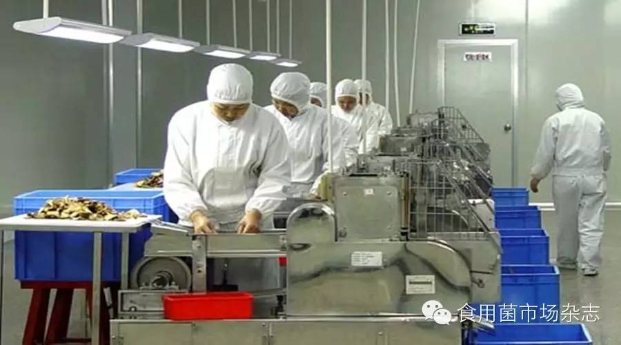 富硒精深产品加工(富硒原料生产厂家)-硒宝网