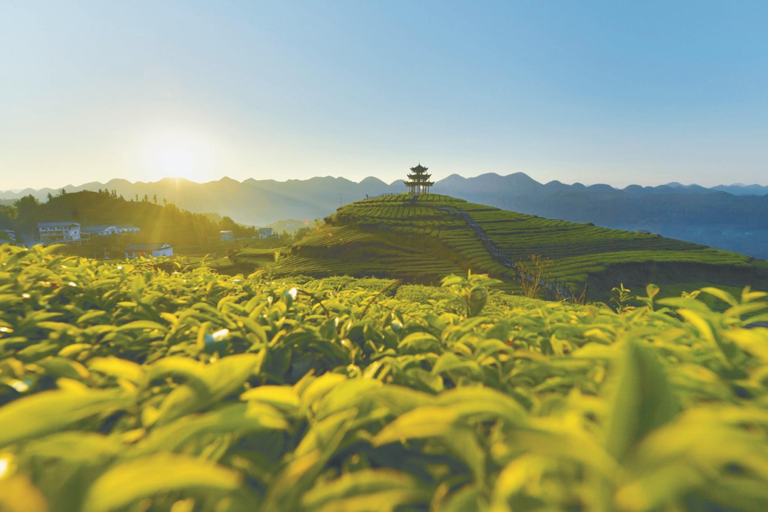 恩施富硒产品优势(恩施富硒特产)-硒宝网