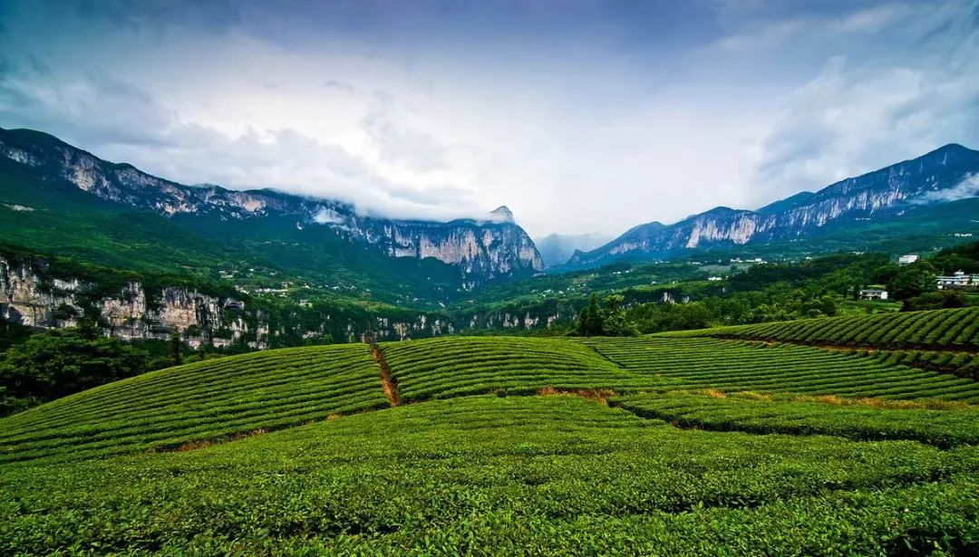 恩施富硒产品优势(恩施富硒特产)-硒宝网