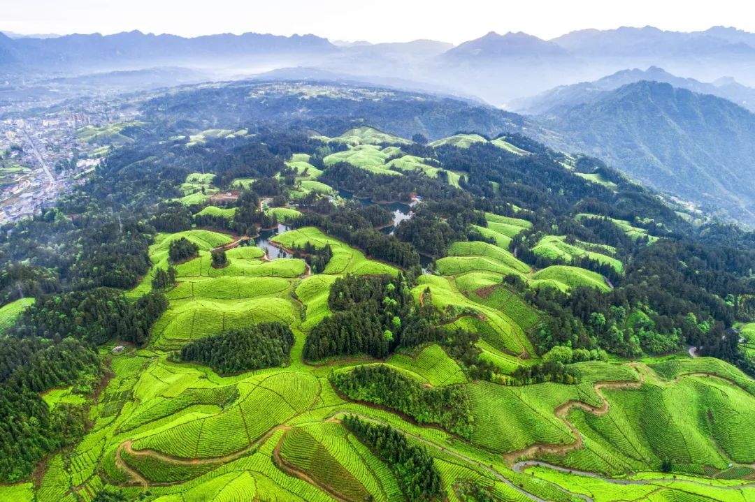 恩施富硒产品优势(恩施富硒特产)-硒宝网