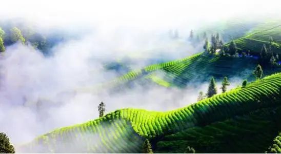 江西富硒产品品牌(江西富硒品牌产品介绍)-硒宝网