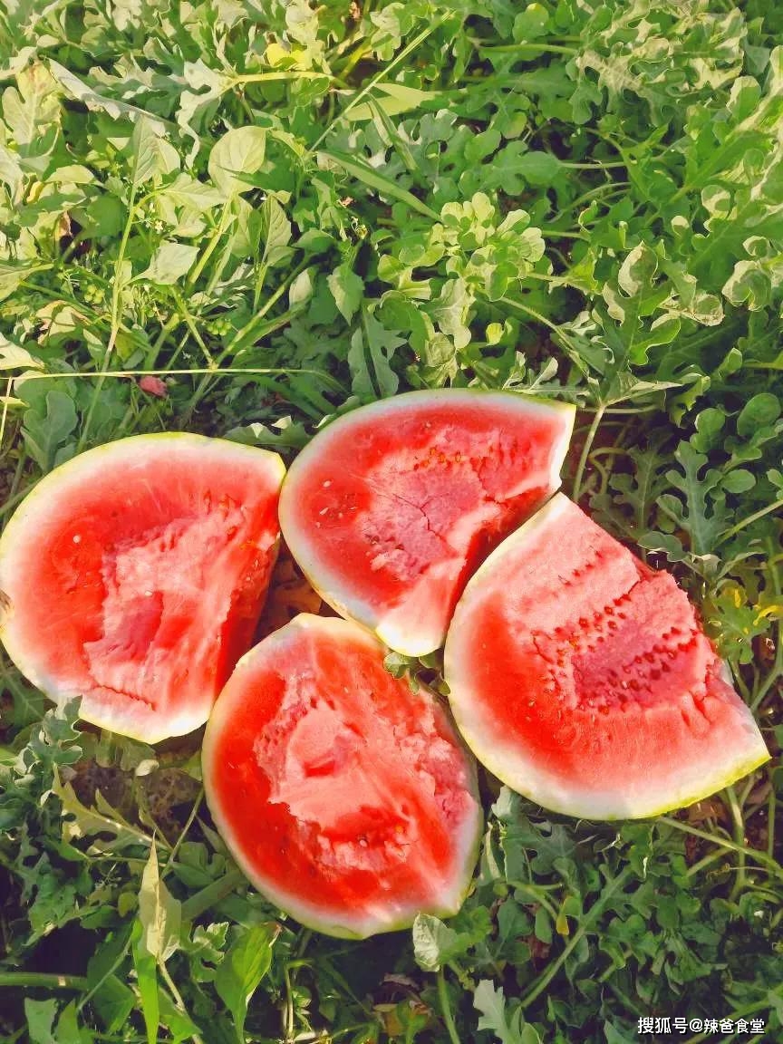 产品富硒西瓜标准（西瓜标准富硒产品有哪些）-硒宝网