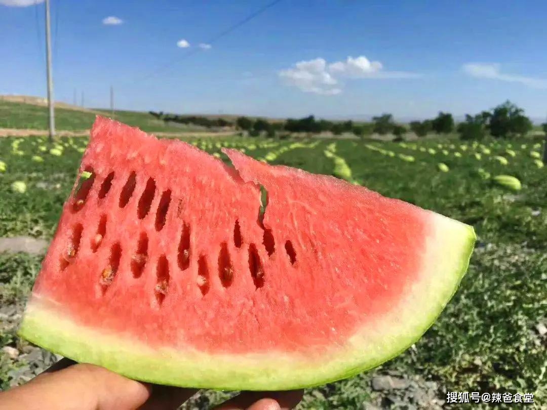 产品富硒西瓜标准（西瓜标准富硒产品有哪些）-硒宝网