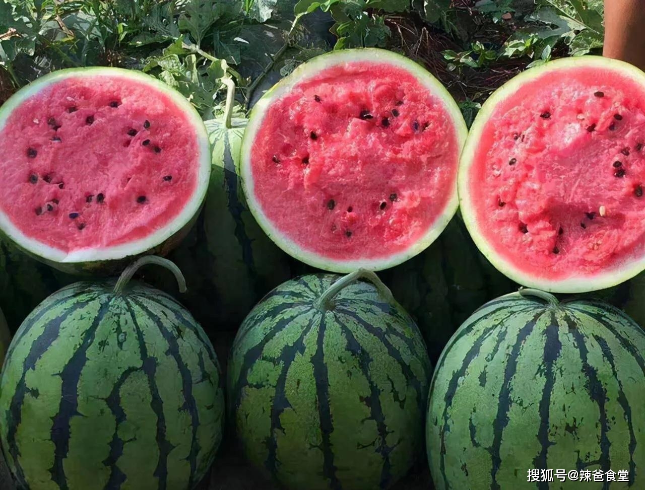 产品富硒西瓜标准（西瓜标准富硒产品有哪些）-硒宝网