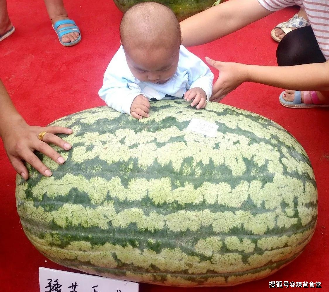 产品富硒西瓜标准（西瓜标准富硒产品有哪些）-硒宝网