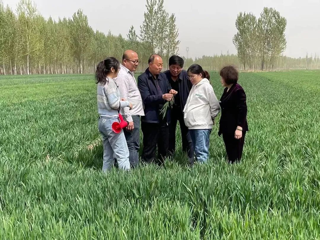 富硒产品与众不同(富硒产品专卖店)-硒宝网