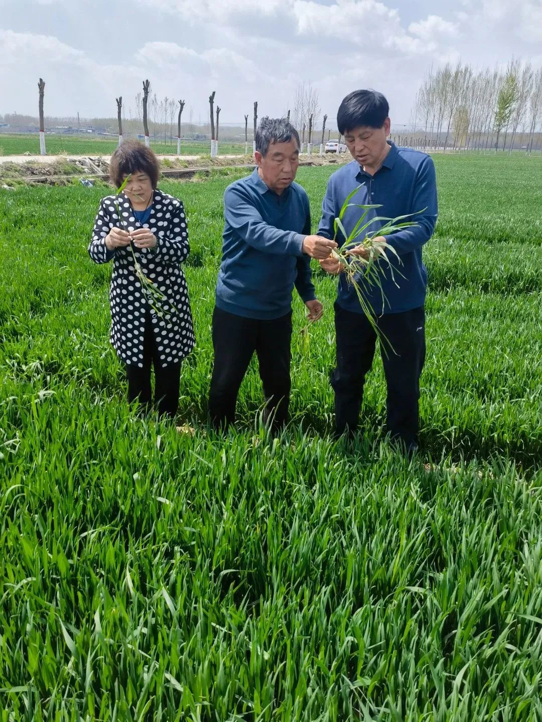 富硒产品与众不同(富硒产品专卖店)-硒宝网