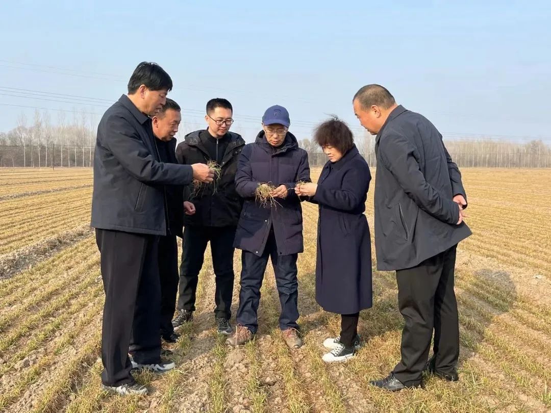 富硒产品与众不同(富硒产品专卖店)-硒宝网