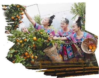 广西富硒农产产品（广西富硒农产品协会）-硒宝网