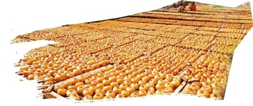 广西富硒农产产品（广西富硒农产品协会）-硒宝网