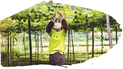 广西富硒农产产品（广西富硒农产品协会）-硒宝网