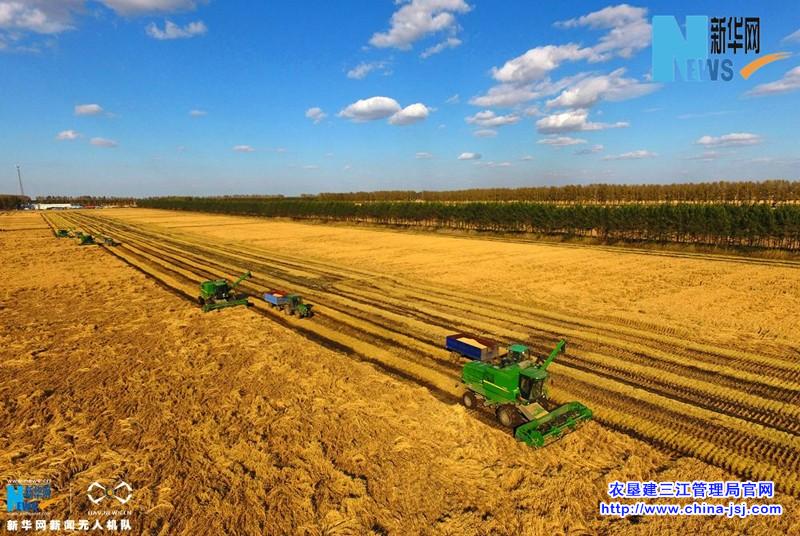 富硒产品发展策略（发展富硒农产品国家最新政策）-硒宝网