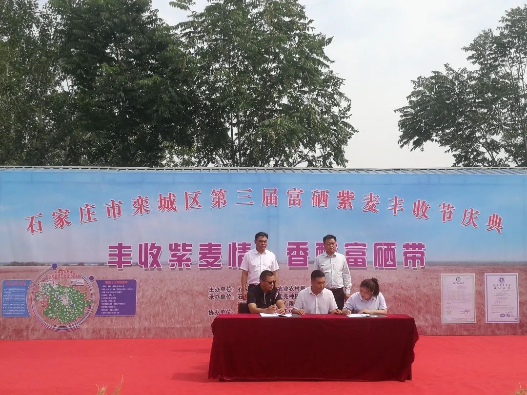 富硒产品带动增收（增收带动富硒产品的例子）-硒宝网