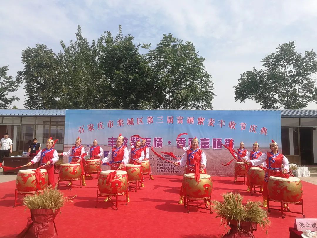 富硒产品带动增收（增收带动富硒产品的例子）-硒宝网