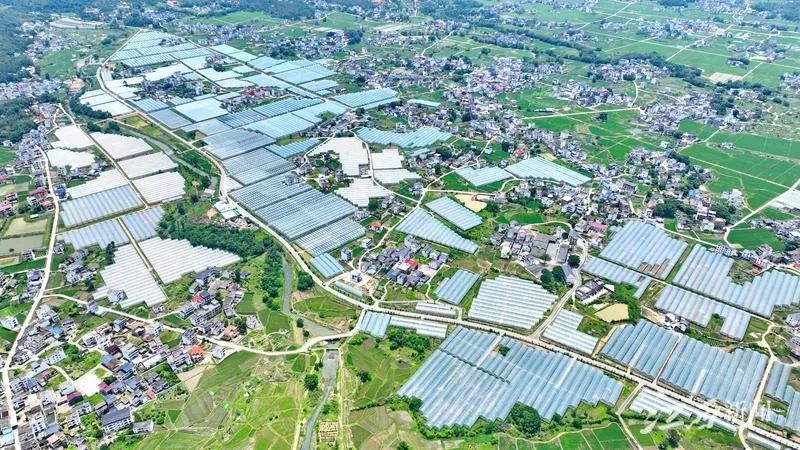 富硒产品项目运营（打造富硒品牌）-硒宝网