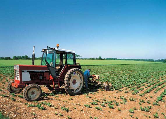 西宁富硒产品生产(西宁生产富硒产品的企业)-硒宝网