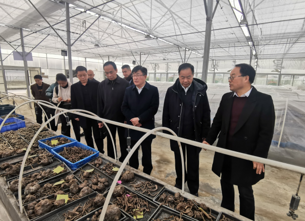 安康富硒产品征集(安康市富硒产品有哪些)-硒宝网