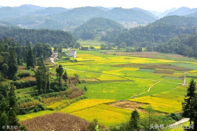 恩施富硒产品批发（批发恩施富硒产品的地方）-硒宝网