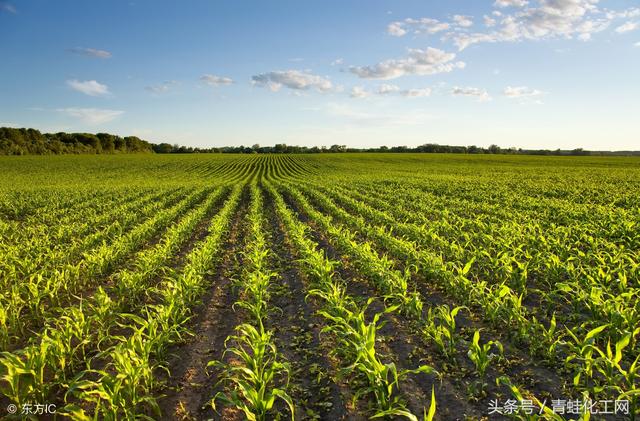 恩施富硒产品批发（批发恩施富硒产品的地方）-硒宝网