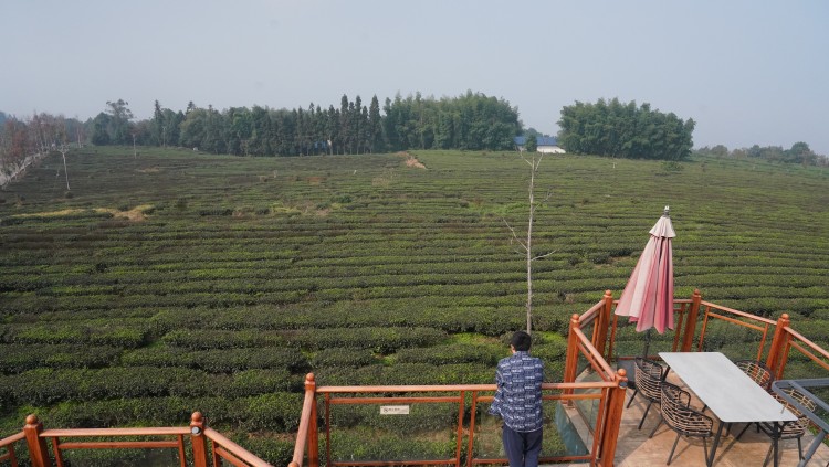 富硒产品生态产业（生态产业富硒产品是什么）-硒宝网