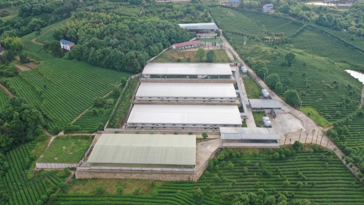 富硒产品生态产业（生态产业富硒产品是什么）-硒宝网