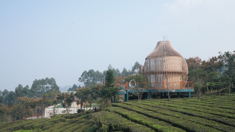 富硒产品生态产业（生态产业富硒产品是什么）-硒宝网