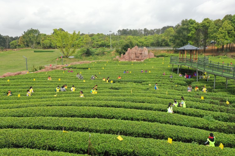 富硒产品生态产业（生态产业富硒产品是什么）-硒宝网
