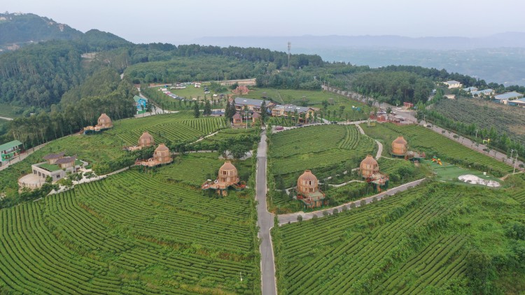 富硒产品生态产业（生态产业富硒产品是什么）-硒宝网