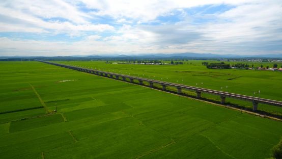 富硒大米产品分析(富硒大米市场分析)-硒宝网