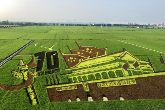 富硒大米产品分析(富硒大米市场分析)-硒宝网