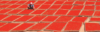 宁夏富硒枸杞产品（宁夏优质枸杞）-硒宝网