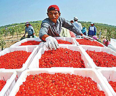 宁夏富硒枸杞产品（宁夏优质枸杞）-硒宝网