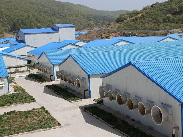 广西富硒农产产品(广西富硒地区名单)-硒宝网