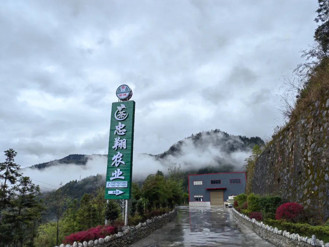 富硒产品生态产业(生态产业富硒产品有哪些)-硒宝网