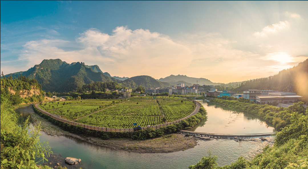 富硒产品生态产业(生态产业富硒产品有哪些)-硒宝网