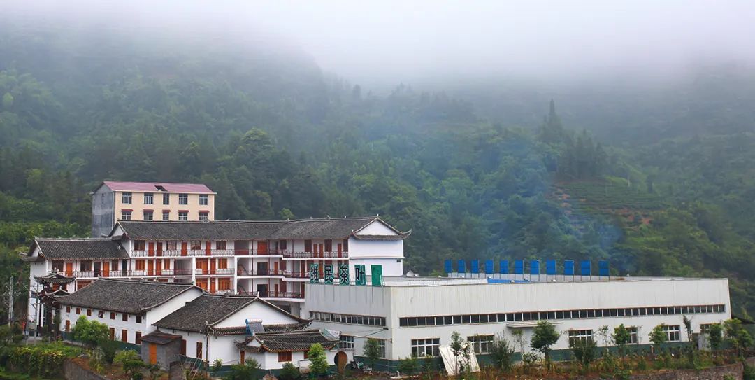 富硒产品生态产业(生态产业富硒产品有哪些)-硒宝网