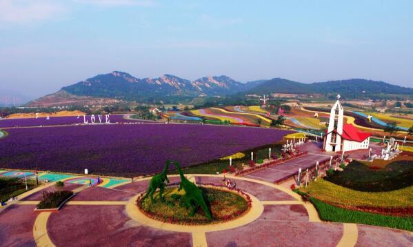 横县富硒产品发展（横县富硒大米）-硒宝网