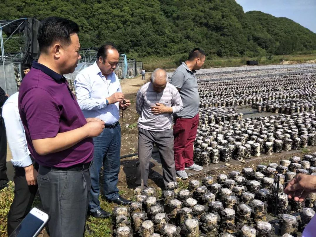 鑫硒旺富硒农产品(鑫农养生)-硒宝网