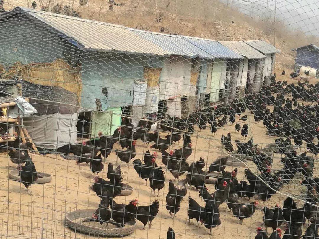 鑫硒旺富硒农产品(鑫农养生)-硒宝网