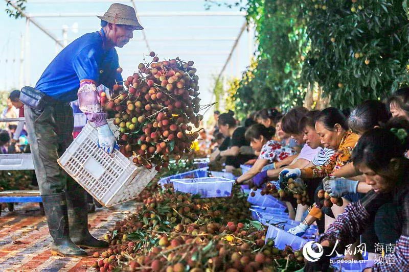 富硒产品口感好吗(富硒产品)-硒宝网
